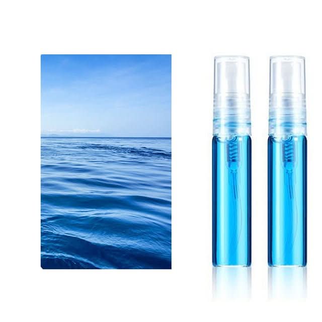 Car Brand Personalized Car Perfume Holder - ScentRide-Ocean 2 Pieces-Audi-The Livary