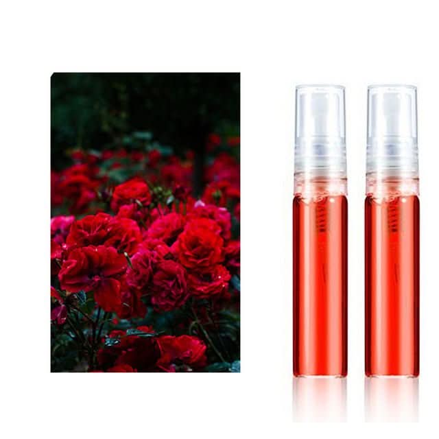 Car Brand Personalized Car Perfume Holder - ScentRide-Roses 2 Pieces-Audi-The Livary