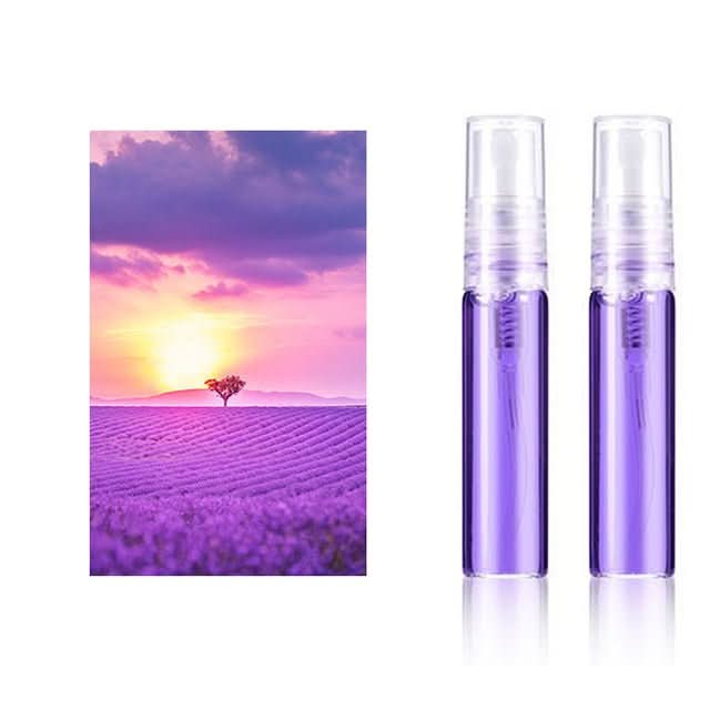 Car Brand Personalized Car Perfume Holder - ScentRide-Lavender 2 Pieces-Audi-The Livary