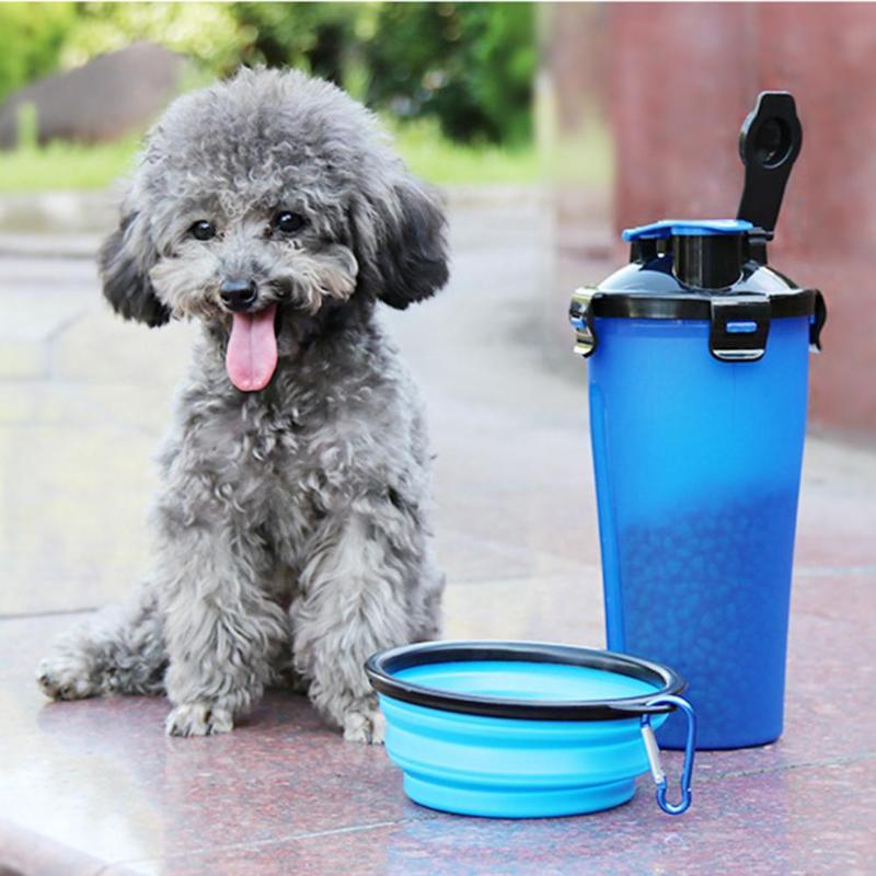 2-in-1 Travel Cup with Food Bowl - PawBuddy™-Blue-The Livary