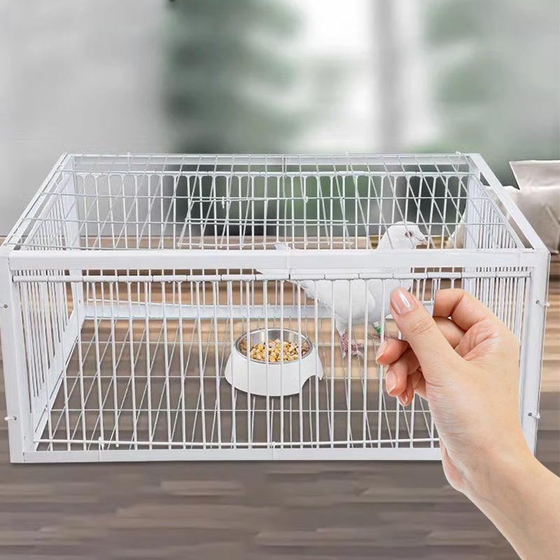 Animal-Friendly Bird Trap with Anti-Backlash Protection – BirdSafe Trap-2 Entrances-The Livary