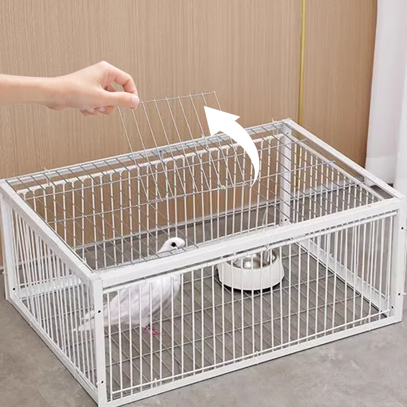 Animal-Friendly Bird Trap with Anti-Backlash Protection – BirdSafe Trap-2 Entrances-The Livary