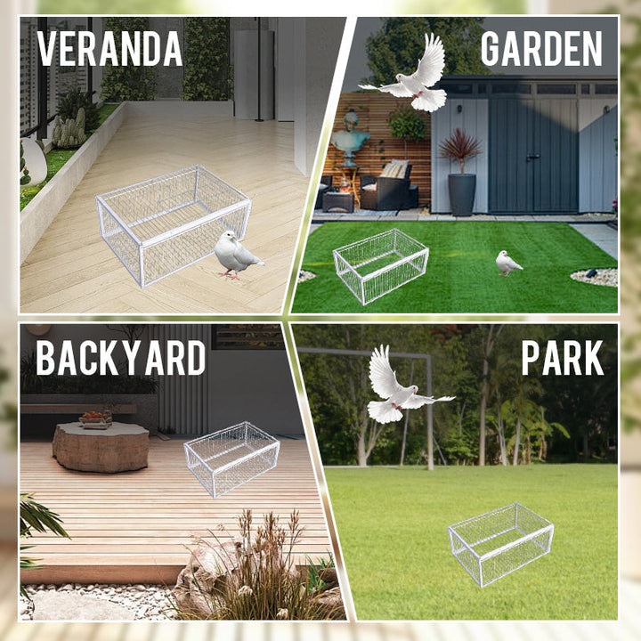 Animal-Friendly Bird Trap with Anti-Backlash Protection – BirdSafe Trap-2 Entrances-The Livary