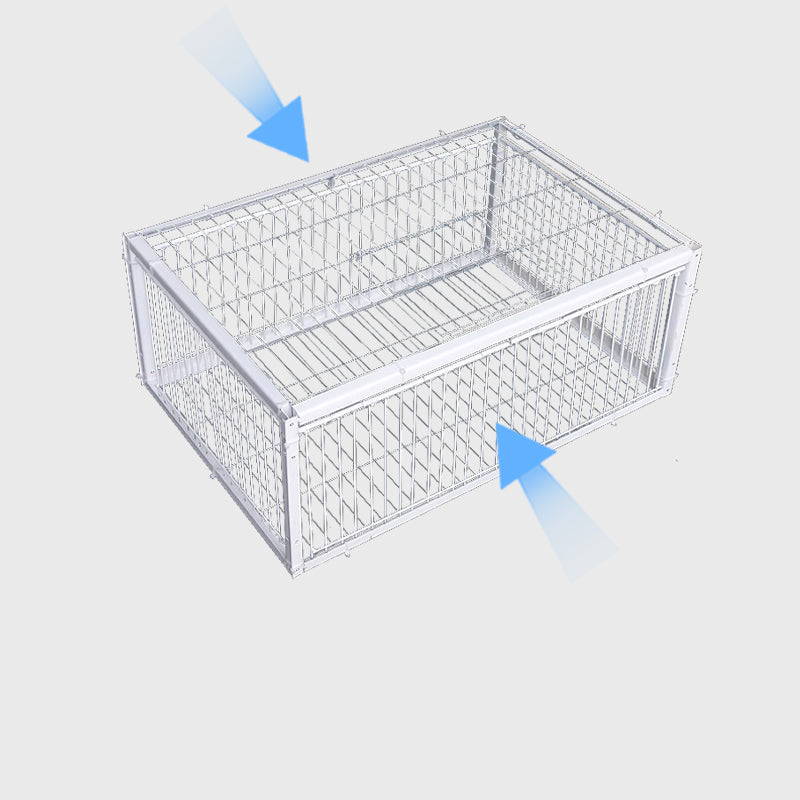 Animal-Friendly Bird Trap with Anti-Backlash Protection – BirdSafe Trap-2 Entrances-The Livary
