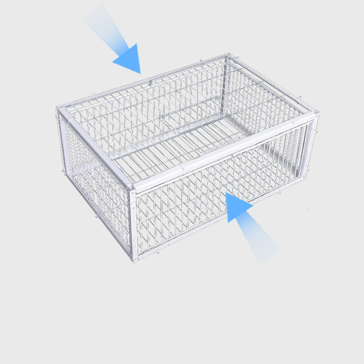 Animal-Friendly Bird Trap with Anti-Backlash Protection – BirdSafe Trap-2 Entrances-The Livary