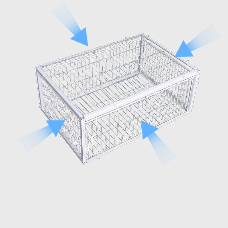 Animal-Friendly Bird Trap with Anti-Backlash Protection – BirdSafe Trap-4 Entrances-The Livary
