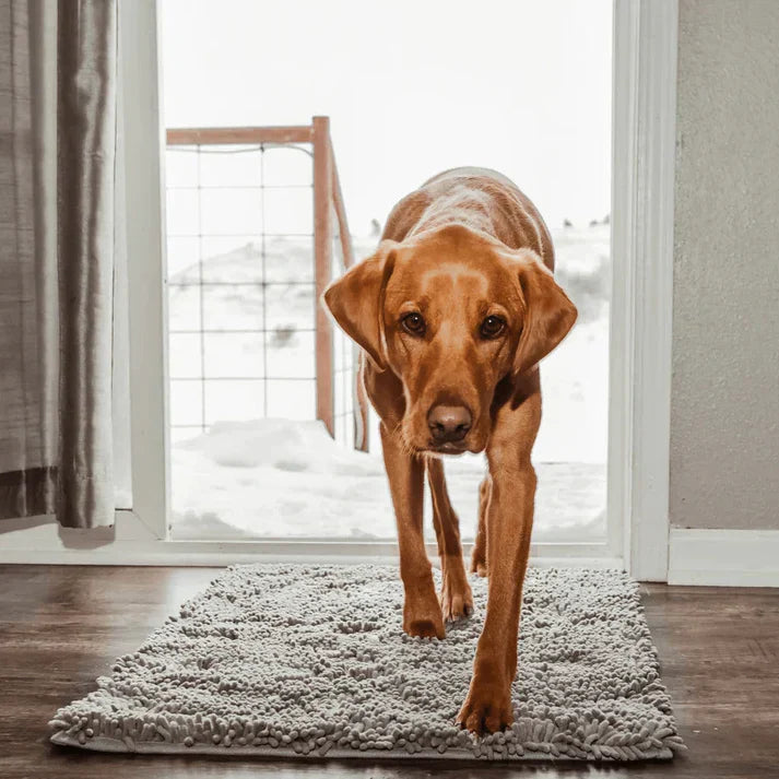 Super Absorbent Dog Mat – PawMat-Gray-15.8×23.6in-The Livary