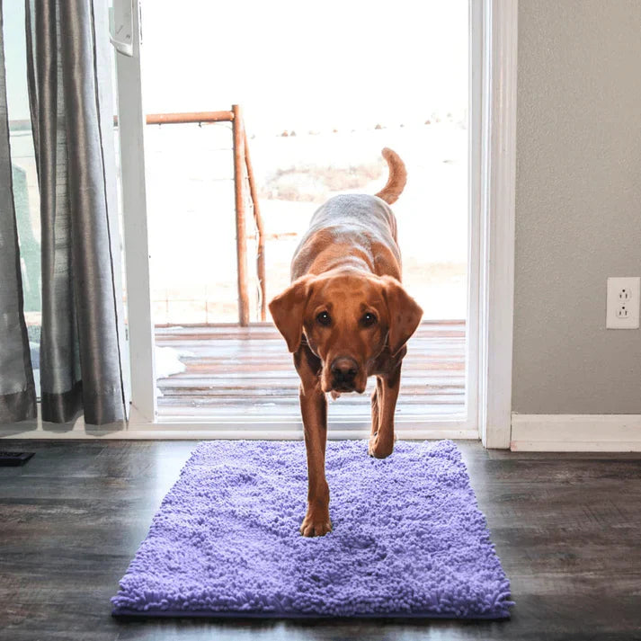 Super Absorbent Dog Mat – PawMat-Purple-15.8×23.6in-The Livary