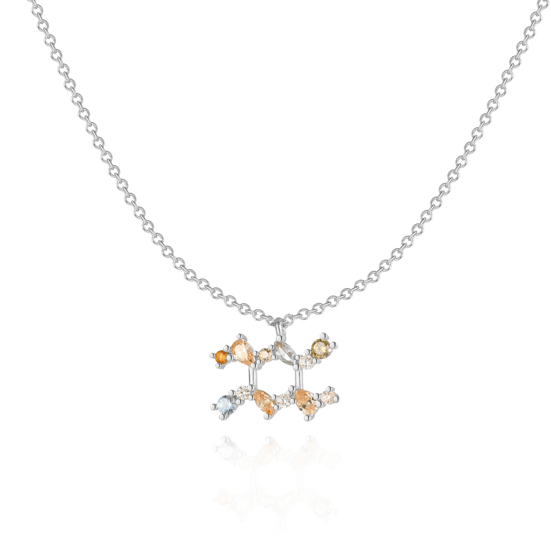 Stylish Zodiac Necklace - Celestia-Silver-Waterman-The Livary