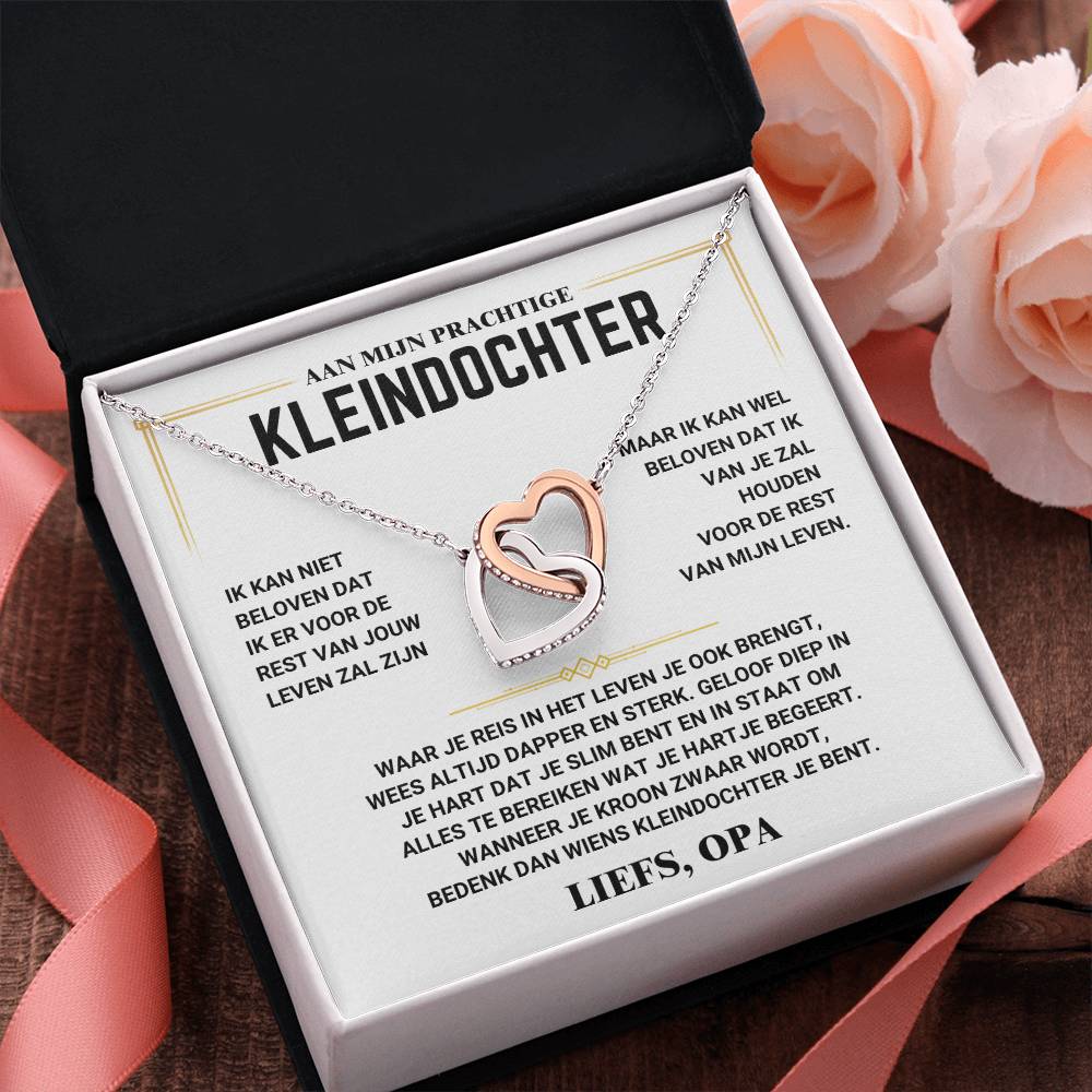 Heart Necklace for Granddaughter from Grandpa-Standard-The Livary