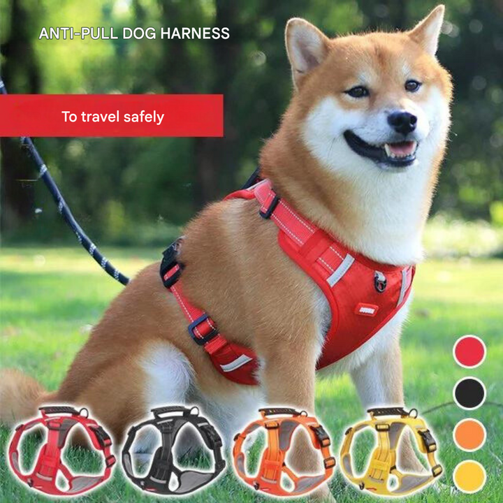 Sturdy & Comfortable Dog Harness - ActivePup™-Red-XS-The Livary