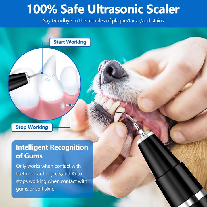 Ultrasonic Tooth Cleaning Set for Pets - BuddyCare-The Livary