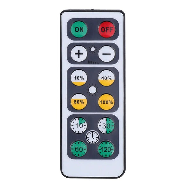 Wireless Mood Spot with Remote Control - LumaRay-The Livary